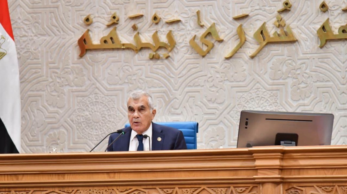 رئيس مجلس الشيوخ، المستشار عصام فريد