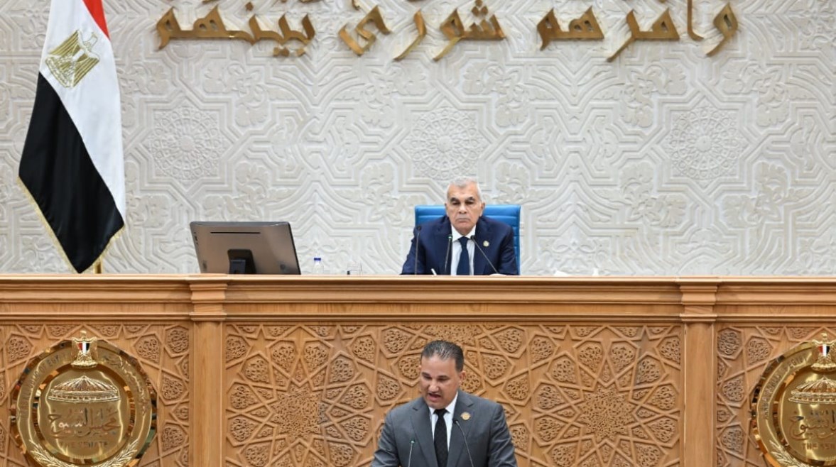 المستشار عصام الدين فريد، رئيس مجلس الشيوخ