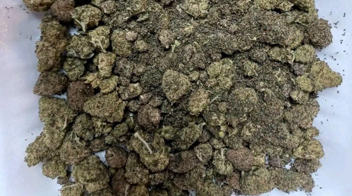 جانب من المضبوطات 