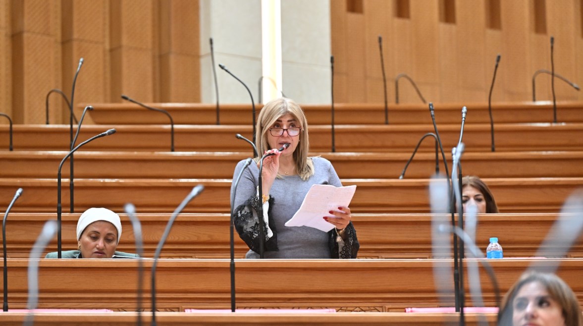 النائبة أميرة فؤاد