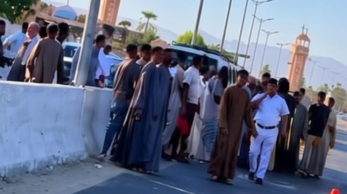 أرشيفية 