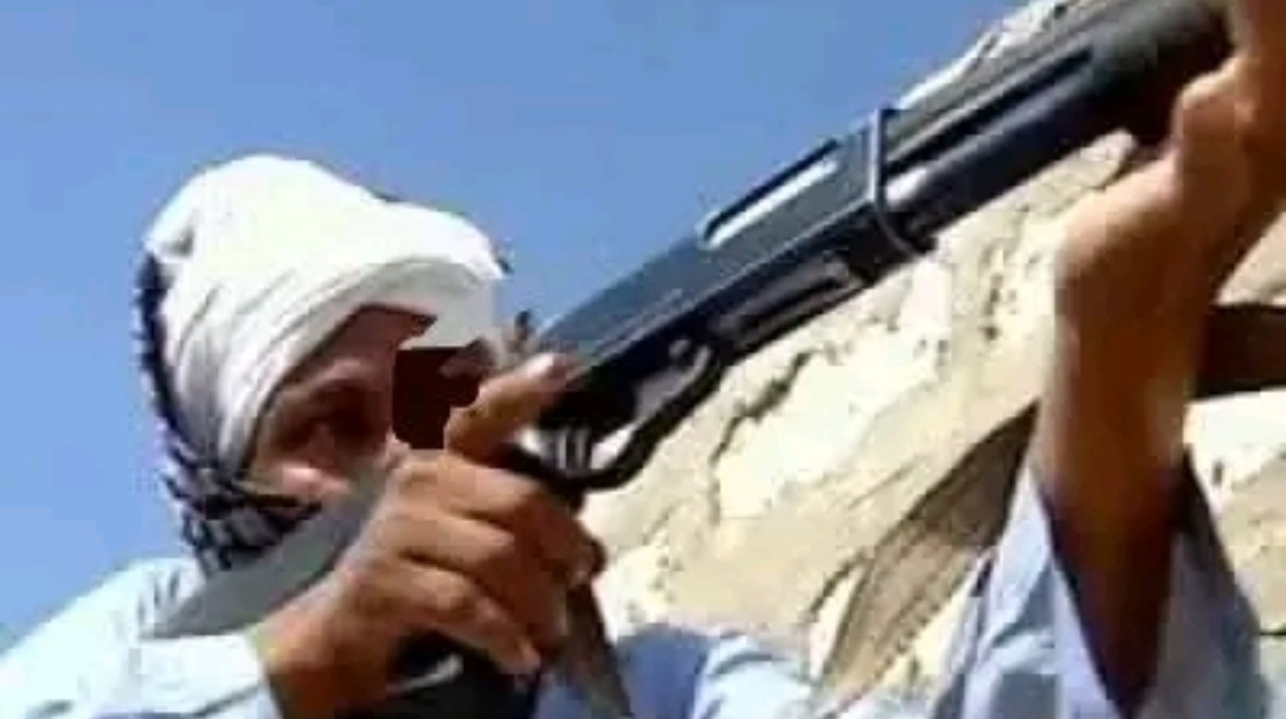 ارشيفيه 