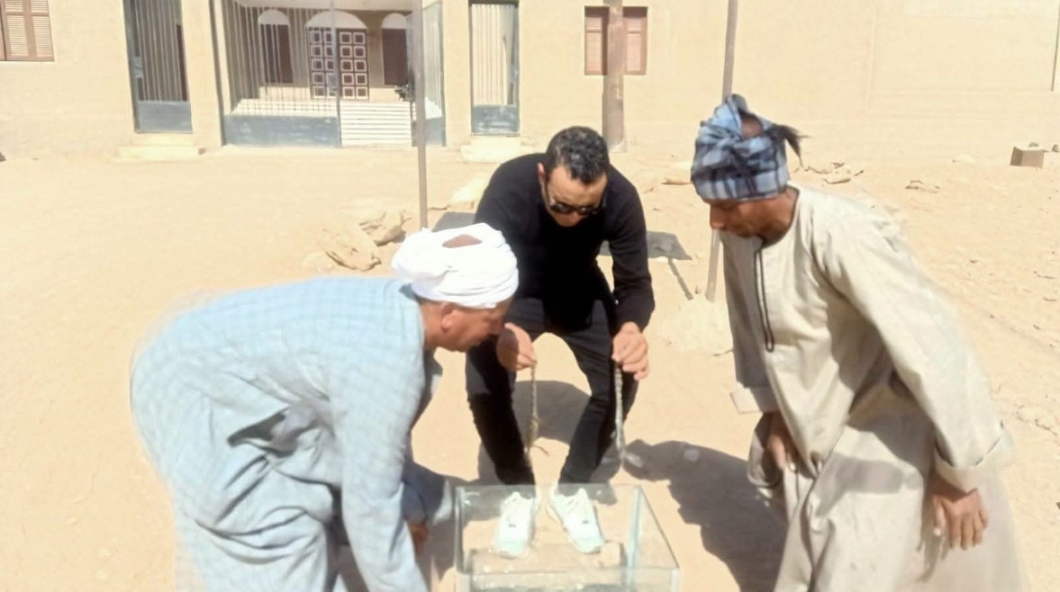 التماسيح داخل المحميه الطبيعيه 