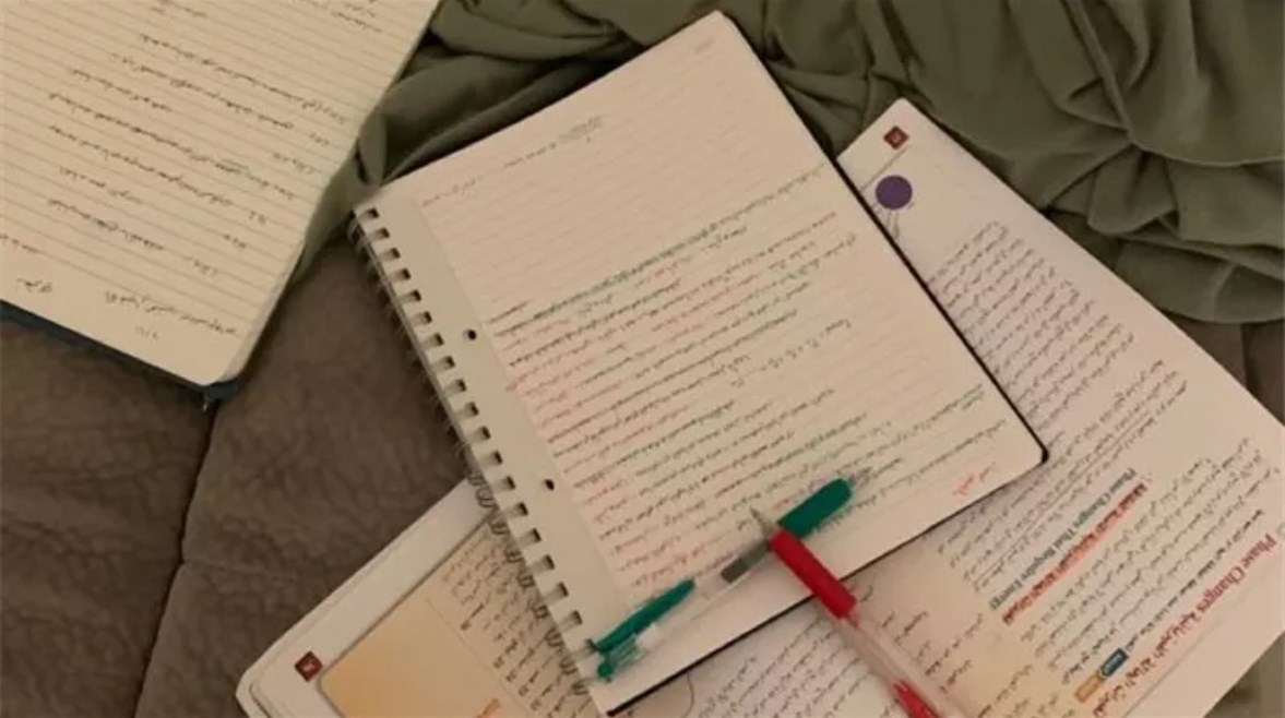 مراجعة علوم الصف الأول الإعدادي الترم الأول 2026-2027 pdf