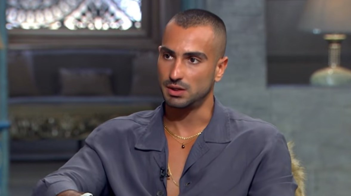 الفنان محمد الشرنوبي