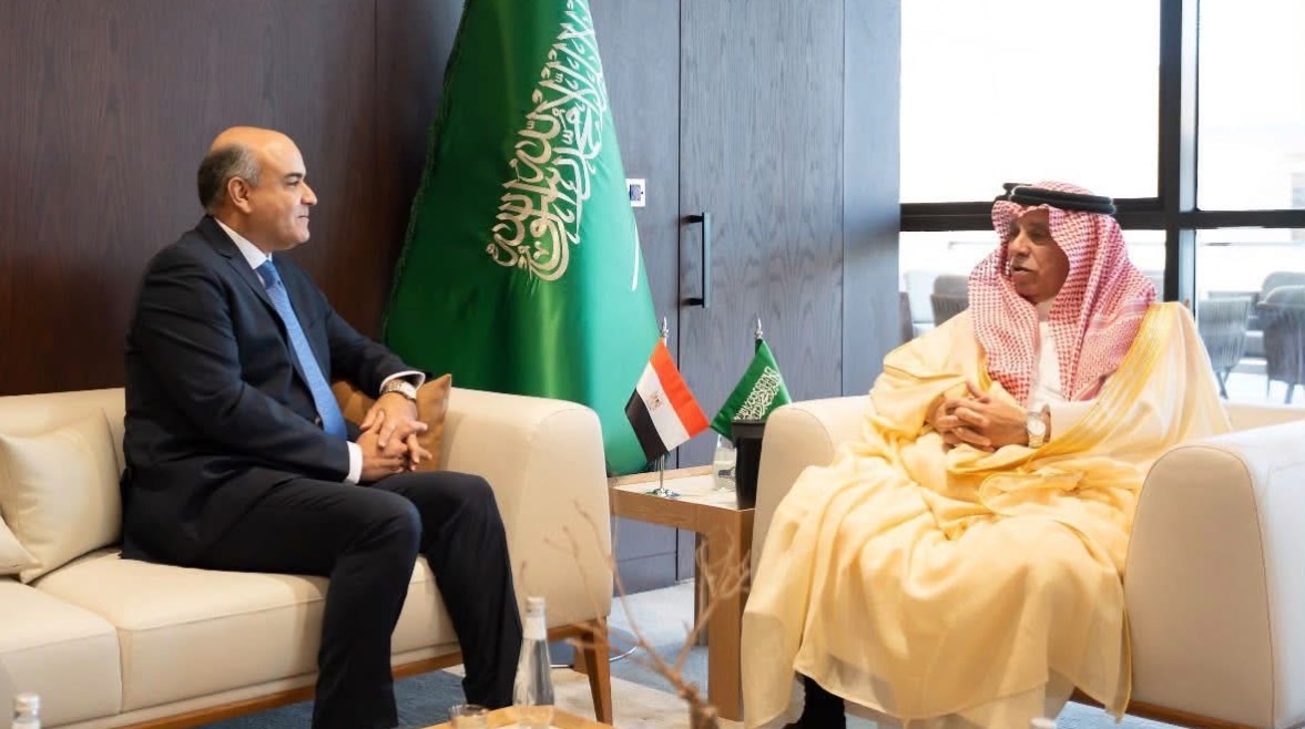 جانب من اللقاء 