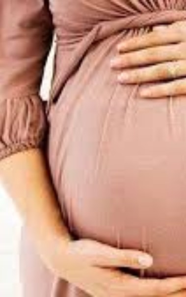 حامل - تعبيرية