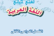 شرح درس سفينة نوح للصف الثالث الإعدادي الترم الثاني 2026