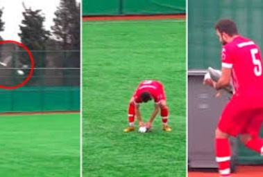 إنعاش قلبي رئوي لطائر النورس