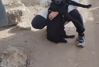 دينا البلتاجي مع الكلبة حياة