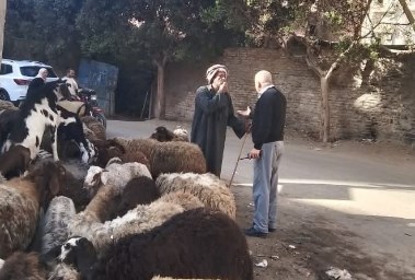 رئيس مدينة طوخ أثناء تعنيفه راعي الغنم