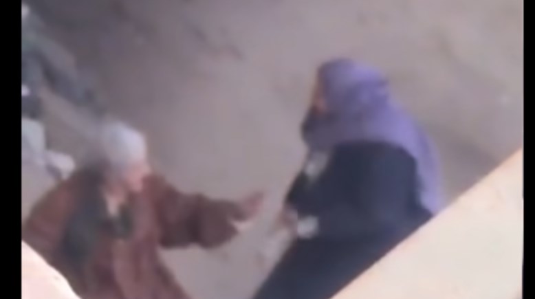 اعتداء سيدة على والدتها المسنة بالزقازيق