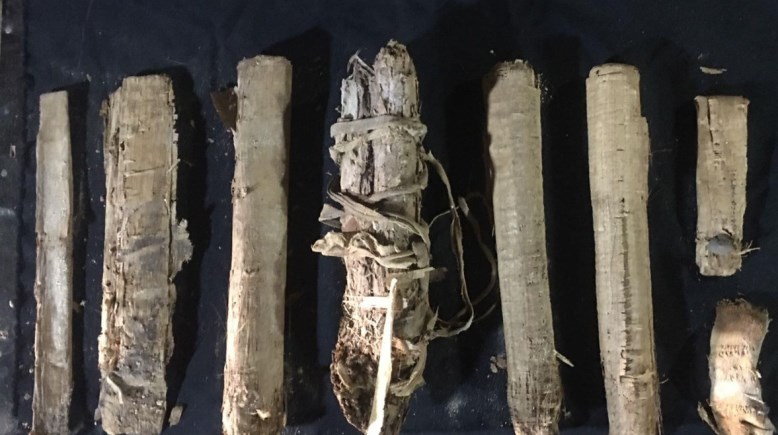 كشف البعثة الأثرية المصرية 