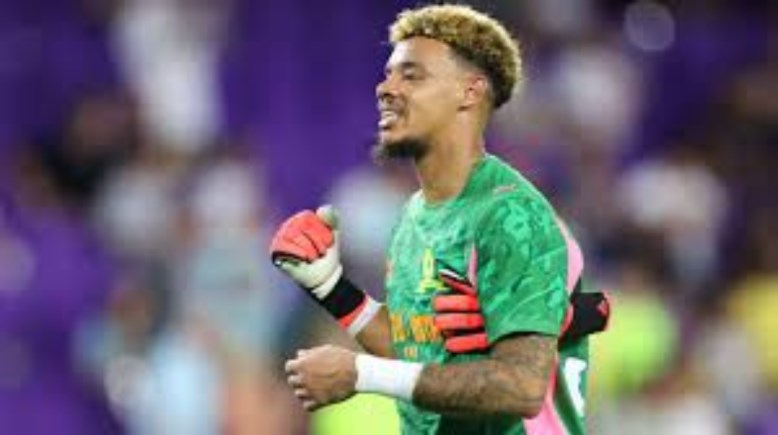 حارس مرمى صن داونز