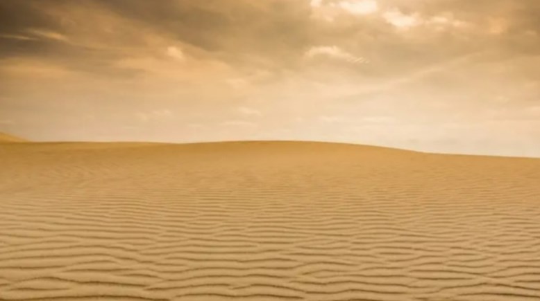 رمال الصحراء 