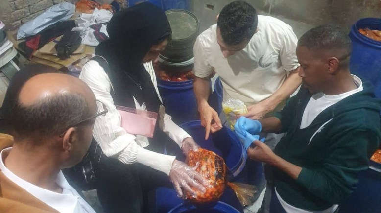 جانب من المضبوطات 