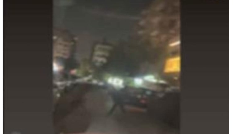 التعددي على الكلاب بالقاهرة