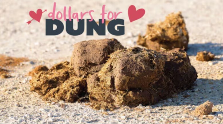 فضلات الحيوانات