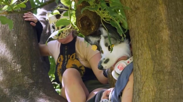 مراهقون في هيئة حيوانات