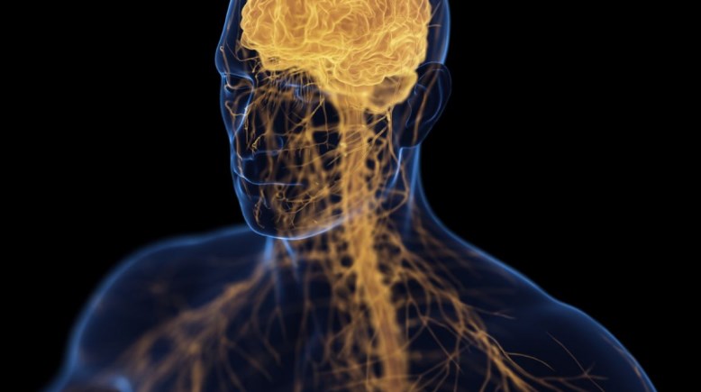 العلاقة بين هشاشة العظام والاكتئاب