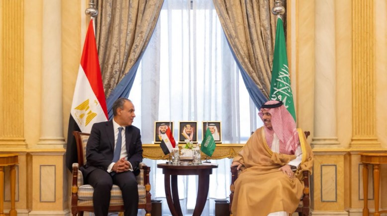 وزير الخارجية والهجرة بدر عبد العاطي ونظيره السعودي، فيصل بن فرحان - صورة أرشيفية