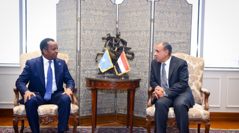 وزير الخارجية والهجرة، بدر عبدالعاطي ونظيره الصومالي، عبد السلام عبدي علي