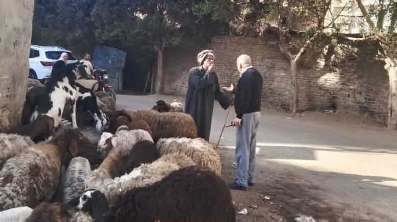 رئيس مدينة طوخ أثناء تعنيفه راعي الغنم