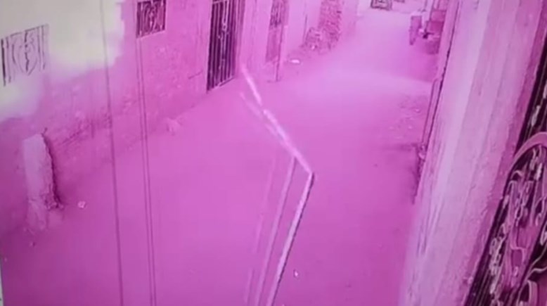 لقطة من الفيديو 