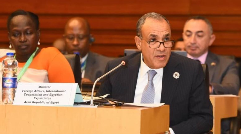 وزير الخارجية، الدكتور بدر عبد العاطي