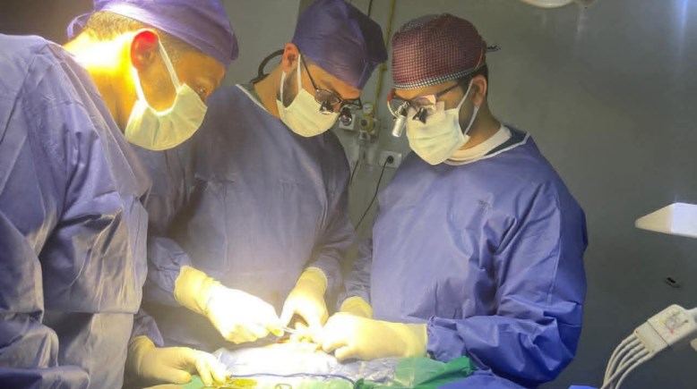 الفريق الطبي