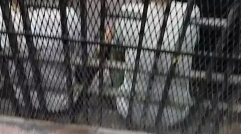 متهمان في قفص المحاكمة، أرشيفية