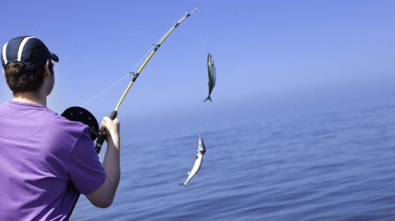 هواية الصيد