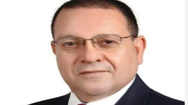 الدكتور محمد ربيع 