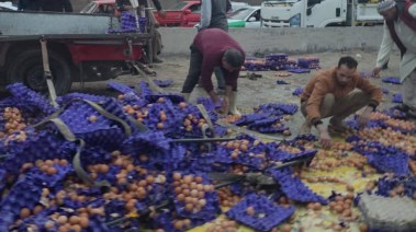 حادث انقلاب سيارة محملة بالبيض في البحيرة