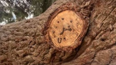 البهنسا.. مدينة الأسرار والبركات