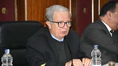 نائب رئيس مجلس الوزراء للشؤون الاقتصادية، الدكتور حسين عيسى