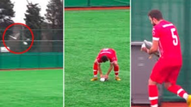 إنعاش قلبي رئوي لطائر النورس