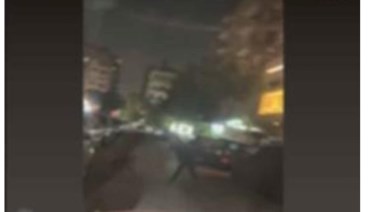 التعددي على الكلاب بالقاهرة