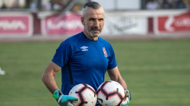 ميشيل يانكون 