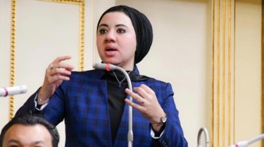 عضو مجلس الشيوخ أميرة صابر