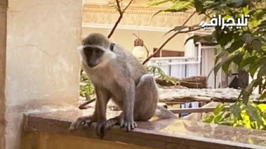 صورة تعبيرية 