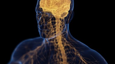 العلاقة بين هشاشة العظام والاكتئاب