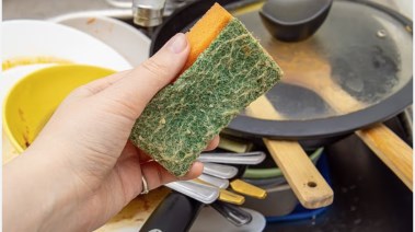 إسفنجة المطبخ