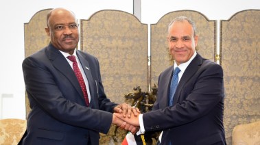 وزير الخارجية والهجرة، بدر عبدالعاطي ونظيره السوداني، محيي الدين سالم