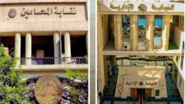 النيابة الإدارية ونقابة المحامين 