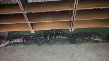 إحراق مسجد أبو بكر الصديق في قرية تل غرب نابلس