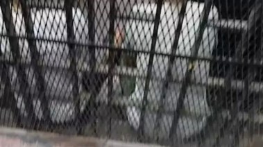 متهمان في قفص المحاكمة، أرشيفية