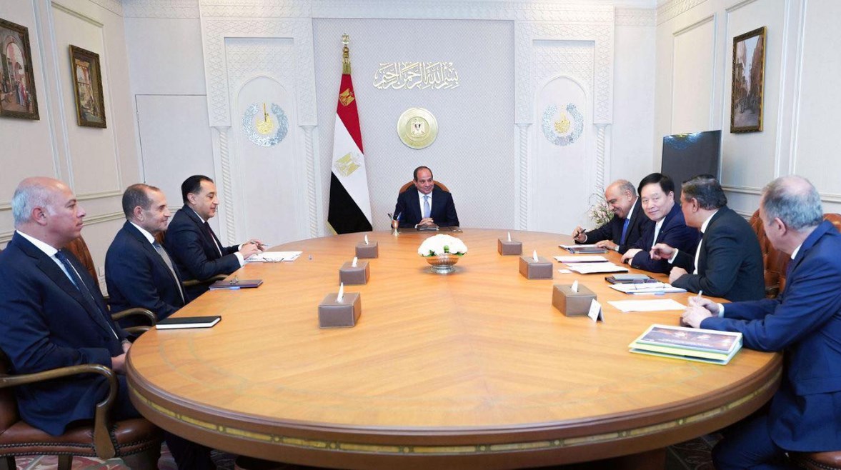 الرئيس السيسي خلال اللقاء