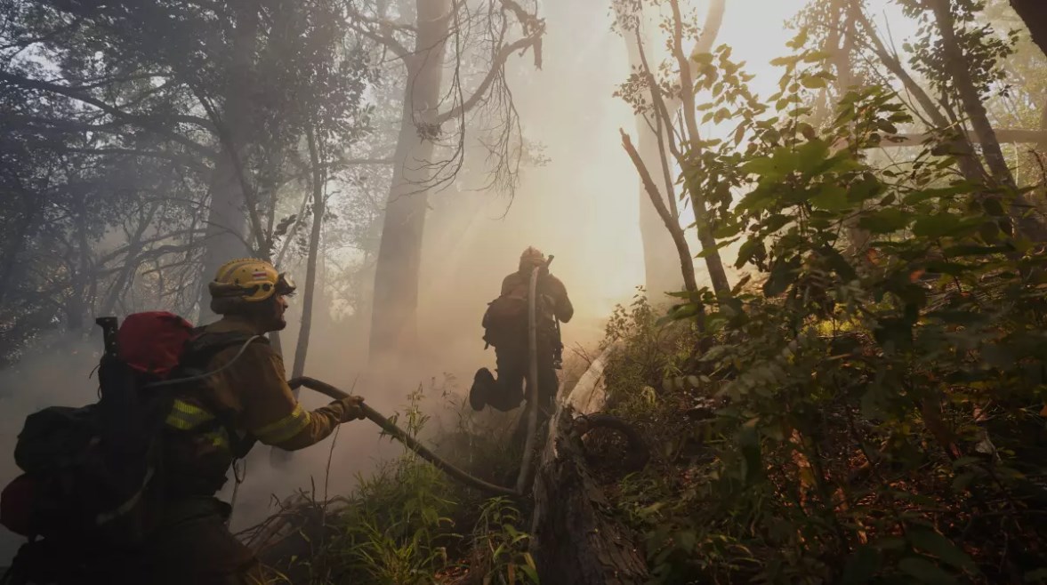 حرائق الغابات في الأرجنتين