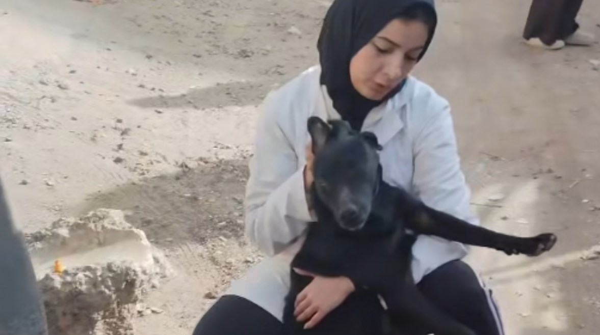 دينا البلتاجي مع الكلبة حياة